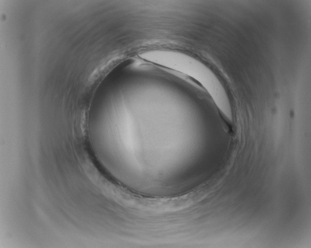 X0000053080023200508012018