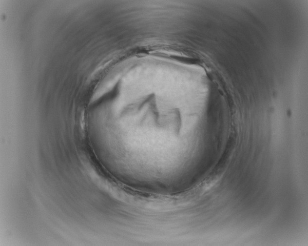 X0000053080024200508012018