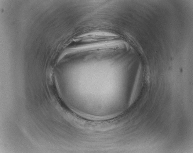 X0000053080026200508012018