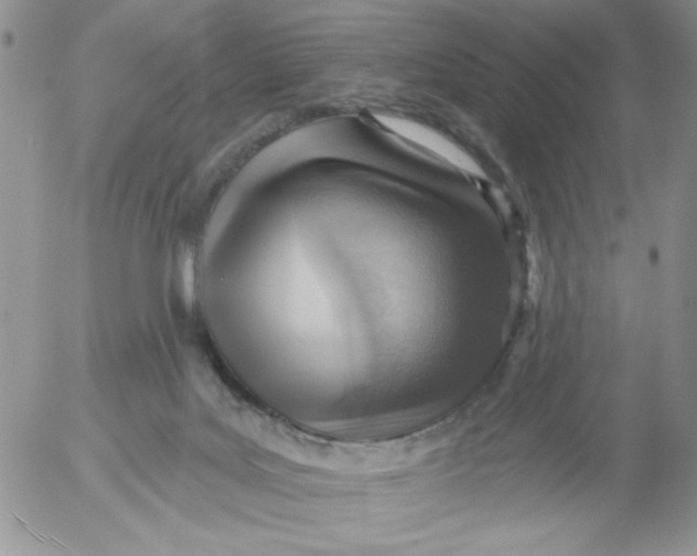 X0000053080027200508012018