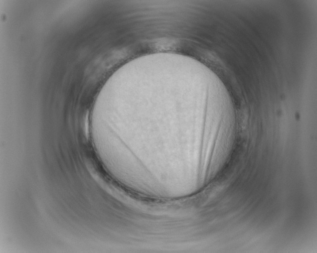 X0000053080028200508012018