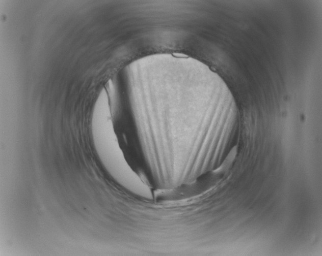 X0000053080029200508012018