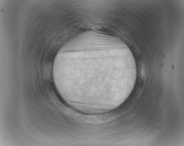 X0000053080030200508012018