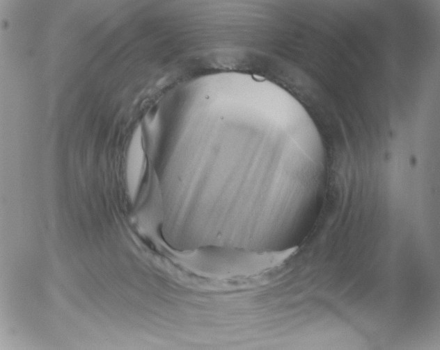 X0000053080031200508012018