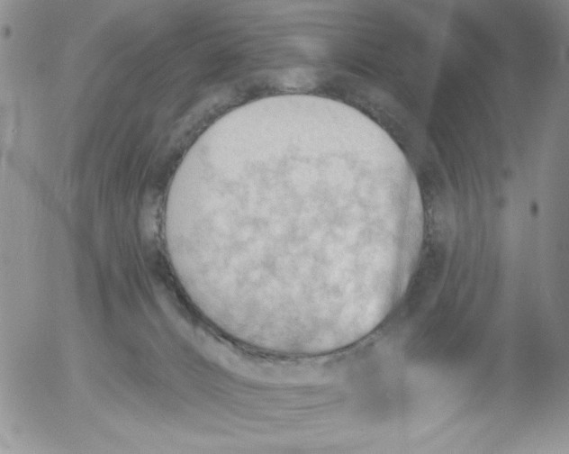 X0000053080032200508012018