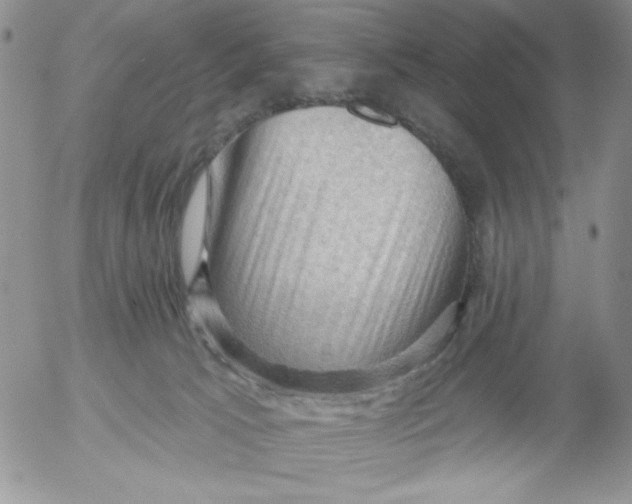 X0000053080033200508012018