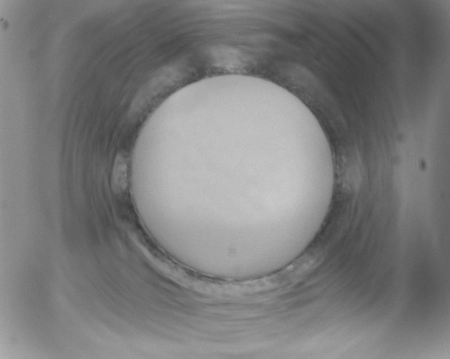 X0000053080036200508012018