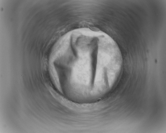 X0000053080038200508012018