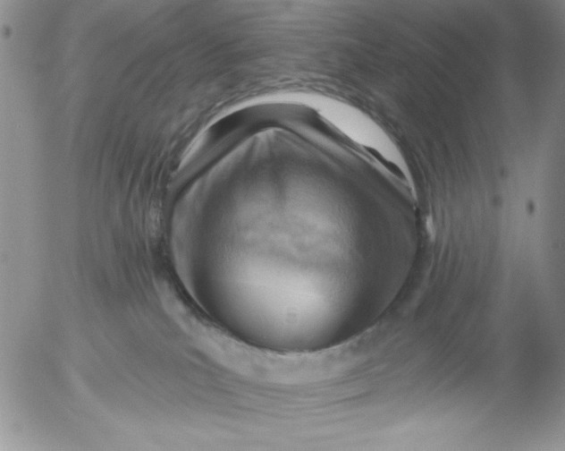 X0000053080039200508012018