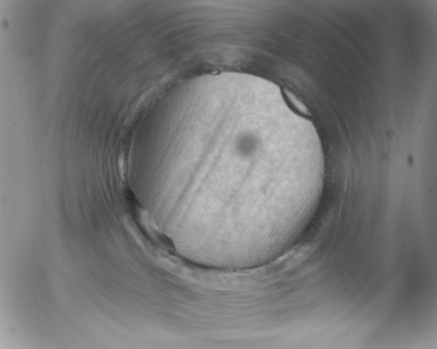 X0000053080040200508012018