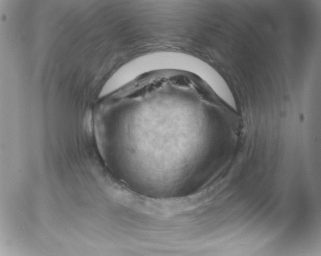 X0000053080041200508012018