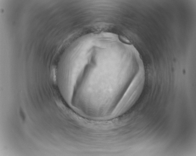 X0000053080042200508012018