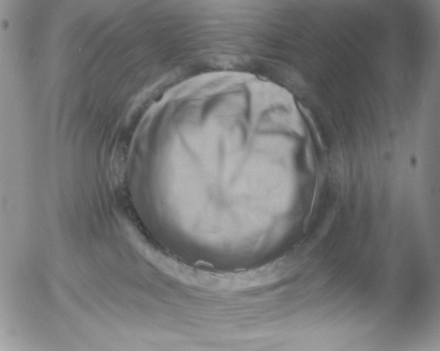 X0000053080043200508012018