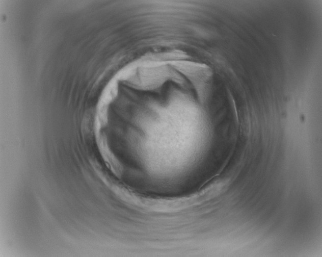 X0000053080044200508012018