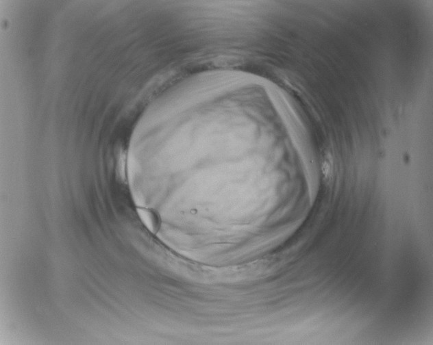 X0000053080046200508012017