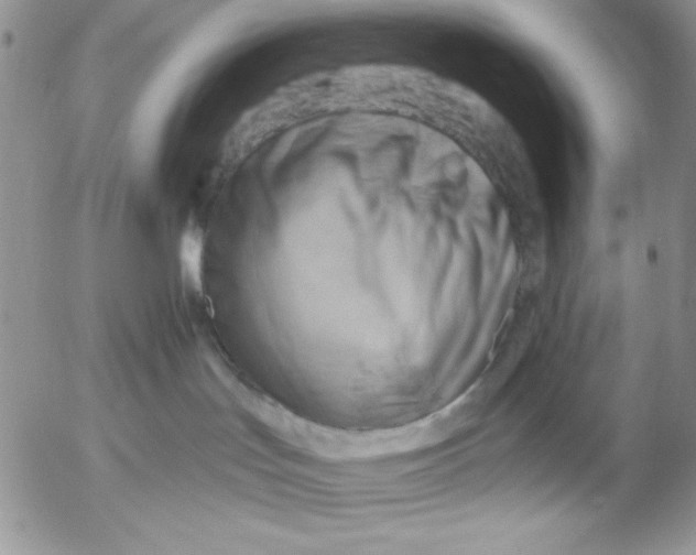 X0000053080047200508012017