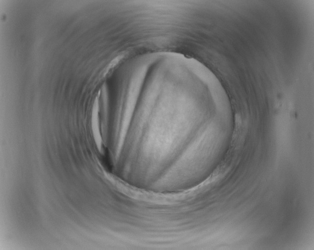 X0000053080048200508012017