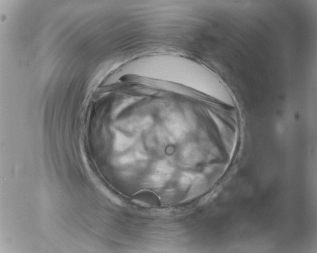 X0000053080049200508012017