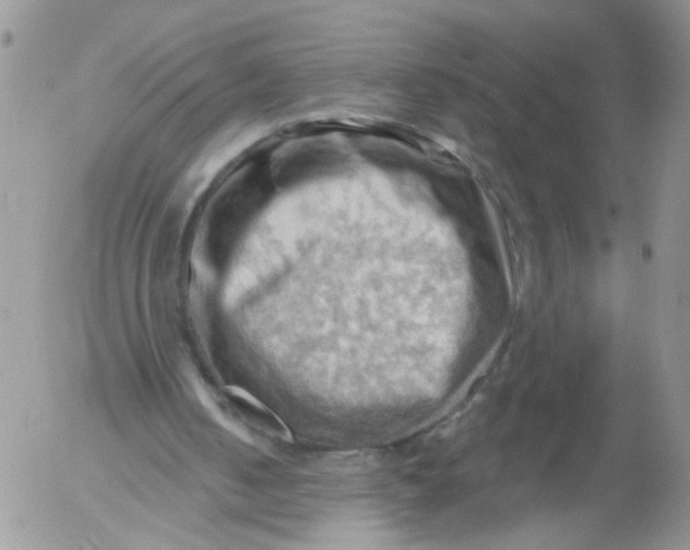 X0000053080050200508012017