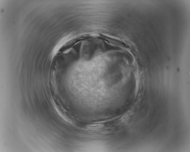 X0000053080051200508012017