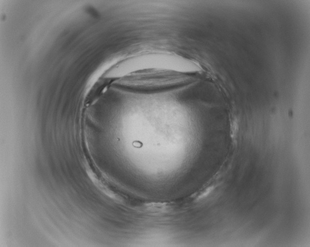 X0000053080052200508012017