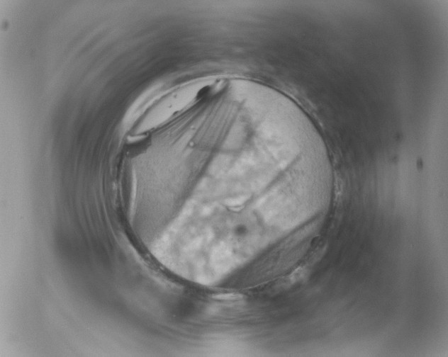 X0000053080053200508012017