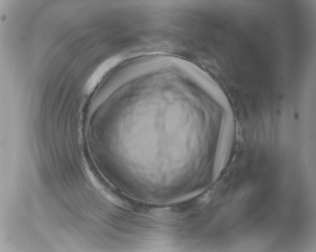 X0000053080054200508012017