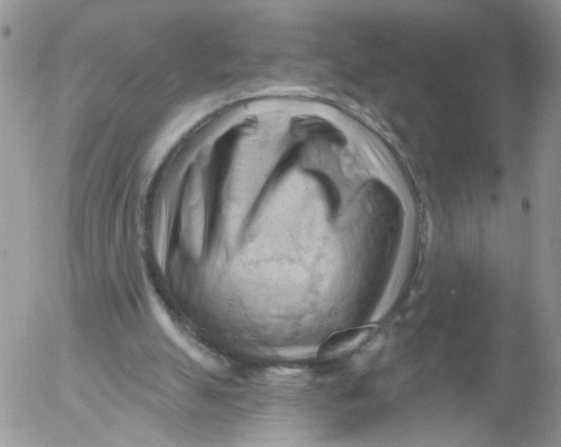 X0000053080055200508012017