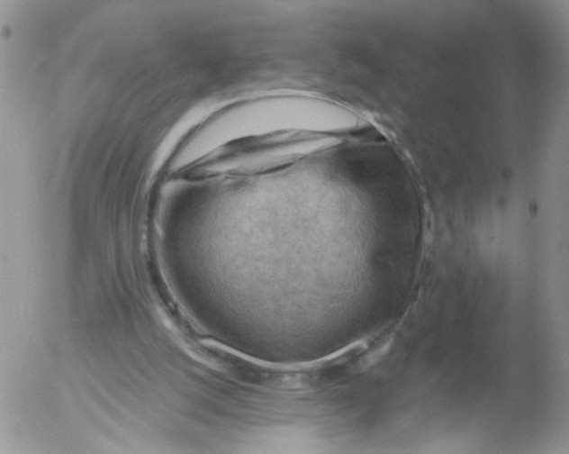 X0000053080056200508012017