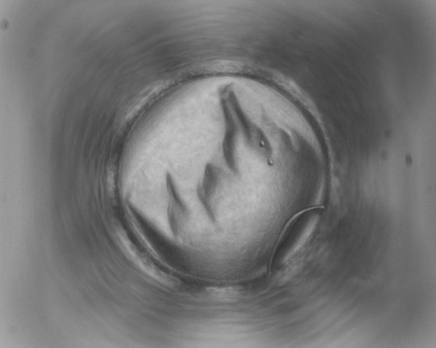 X0000053080057200508012017