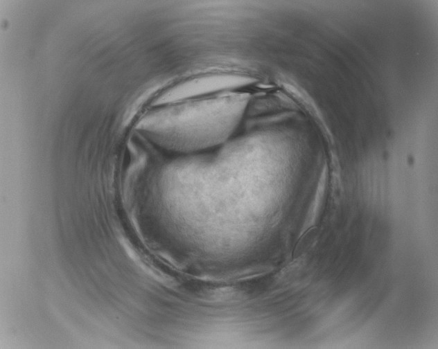 X0000053080058200508012017