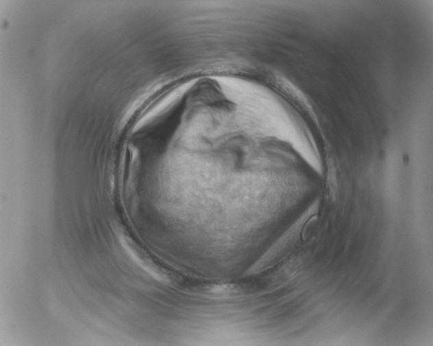 X0000053080059200508012017