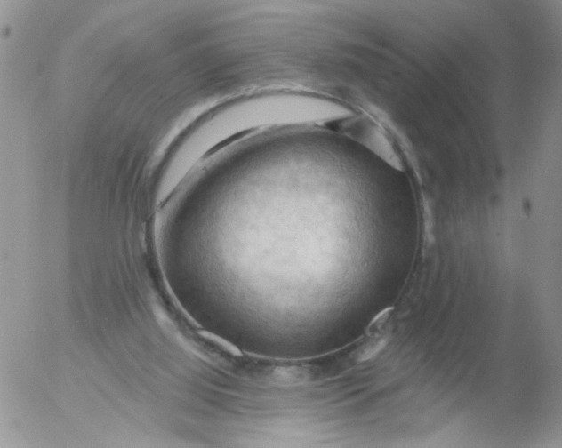 X0000053080060200508012017