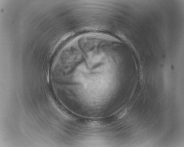 X0000053080062200508012017