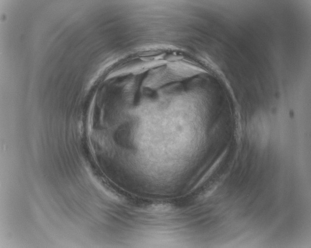 X0000053080063200508012017