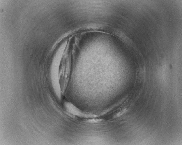 X0000053080064200508012017