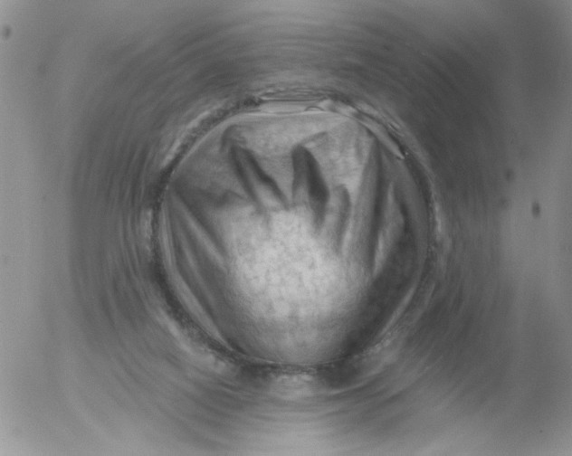 X0000053080066200508012017