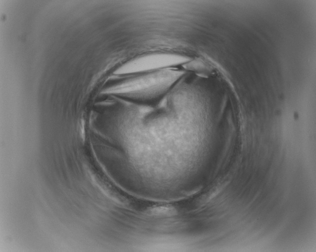 X0000053080067200508012017