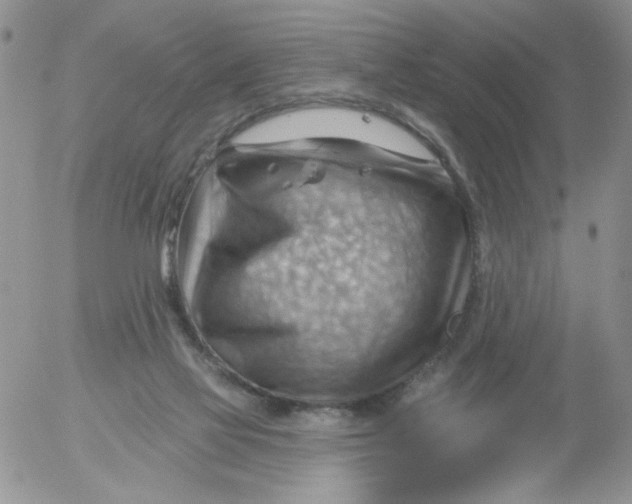 X0000053080069200508012017