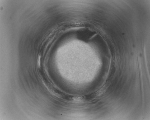 X0000053080070200508012017