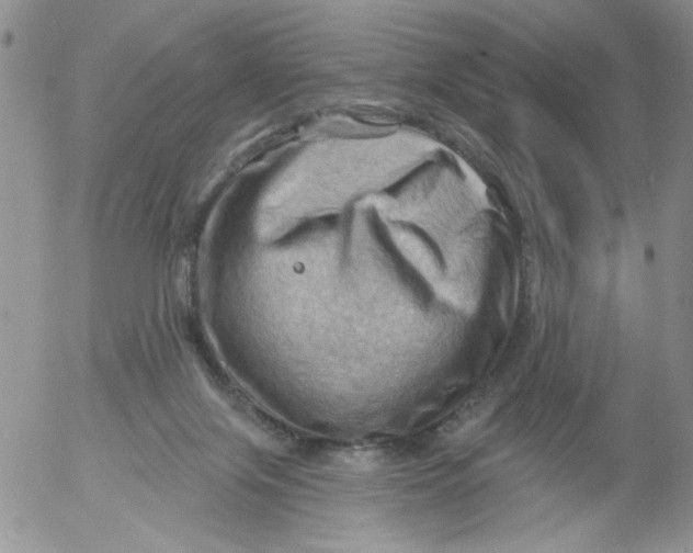 X0000053080071200508012017