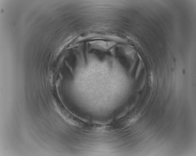 X0000053080072200508012017