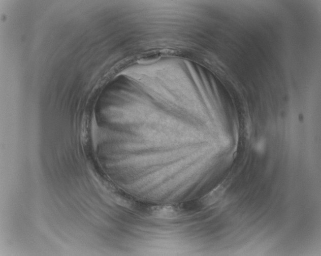 X0000053080074200508012017