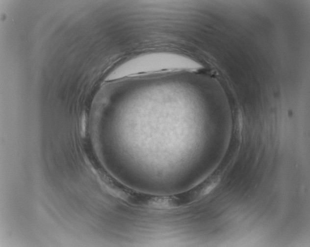 X0000053080076200508012017