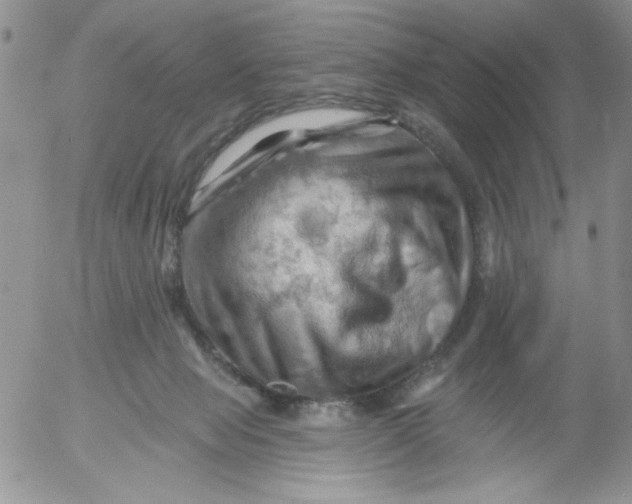 X0000053080077200508012017