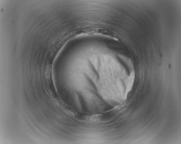 X0000053080078200508012017