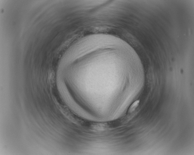 X0000053080079200508012017