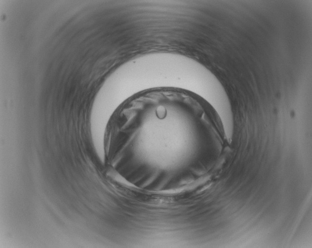 X0000053080080200508012017