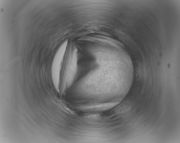 X0000053080081200508012017