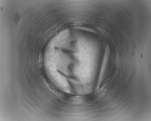 X0000053080082200508012017